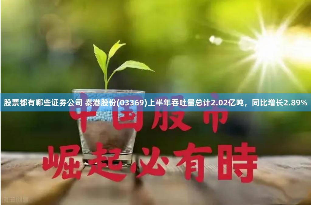 股票都有哪些证券公司 秦港股份(03369)上半年吞吐量总计2.02亿吨，同比增长2.89%